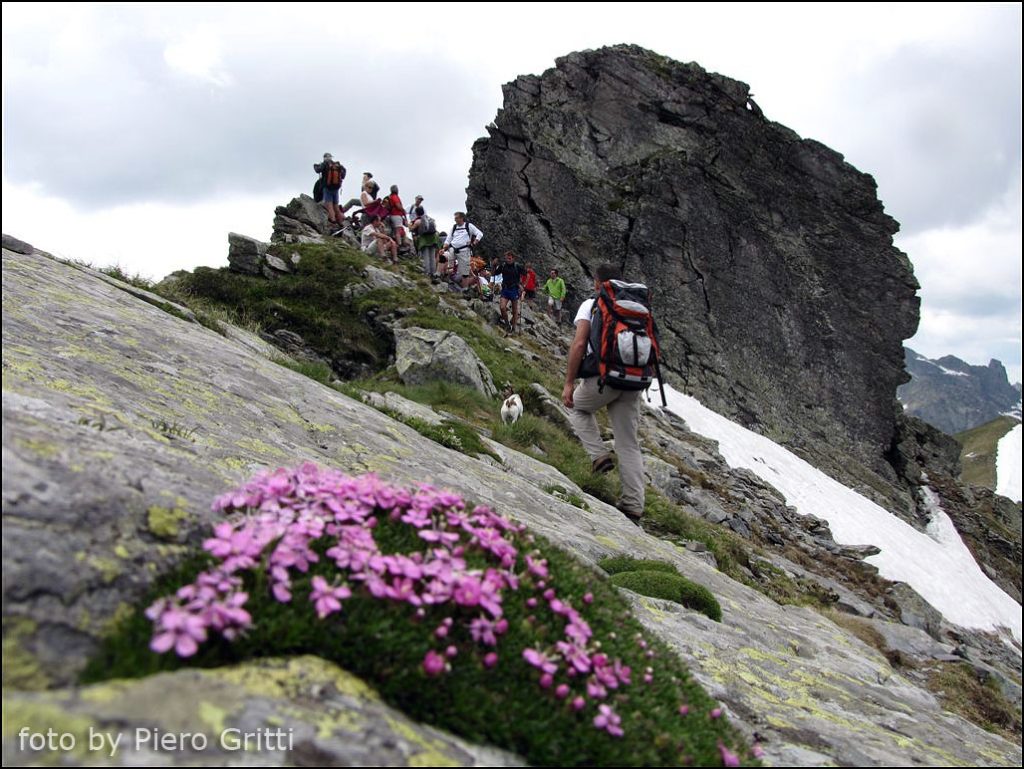 Monte Valletto con Pieroweb