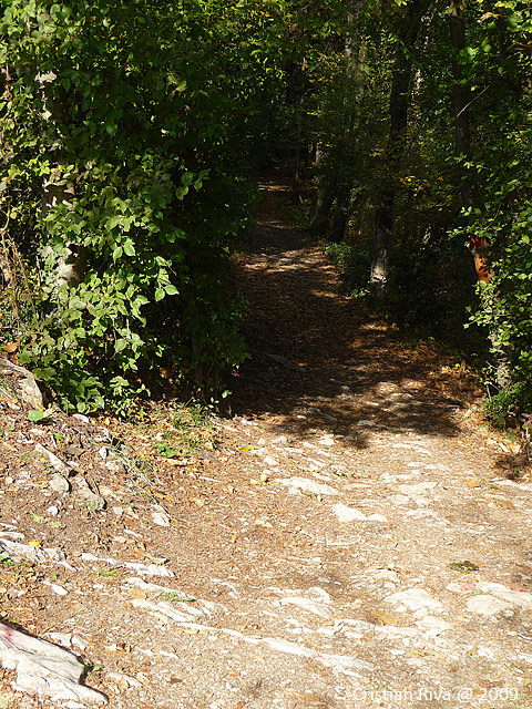 Canto Alto in mountain bike