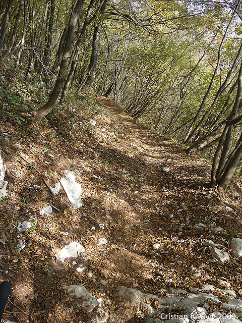 Canto Alto in mountain bike