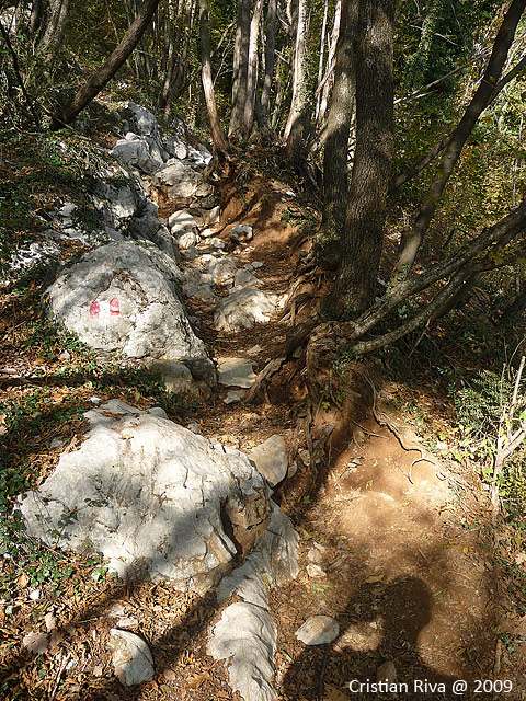 Canto Alto in mountain bike