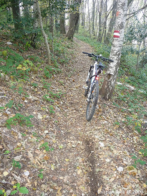 Canto Alto in mountain bike